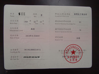 助理电子商务师